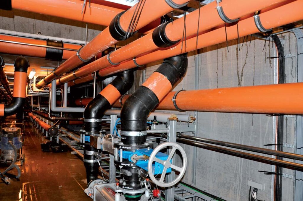 WhatsApp Image 2025-02-05 at 11.33.03 (3)